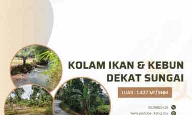 Kolam Ikan Kebun, Pinggir Jalan Raya, Tanjung Siang Subang