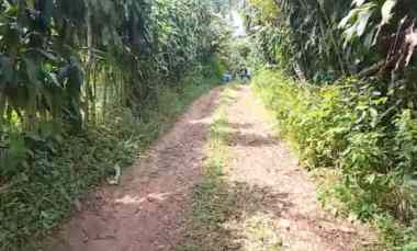 Tanah Darat, Datar, dekat Wisata Durian, Jalan Cagak Subang