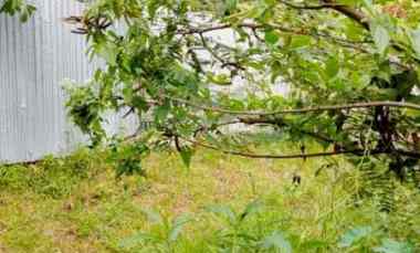 dijual tanah sukabumi bandar lampung