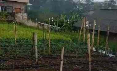 dijual tanah sukajaya