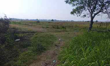 dijual tanah sukaringin