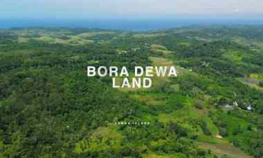 Bora Dewa Land Lahan Seluas 130.000 M Dijual di Sumba Barat