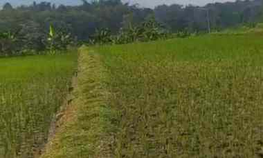 Tanah SHM 4.560 m2 Murah di Sumber Kembar Pacet Mojokerto