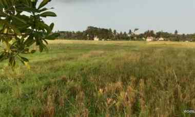 dijual tanah sumberagung moyudan sleman