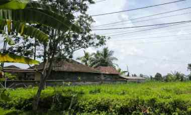 dijual tanah tampaksiring