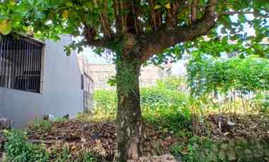 dijual tanah tanah baru