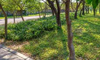 Dijual Kavling Tanah Citraland Bukit Golf Internasional
