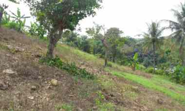 dijual tanah tanah di gg seroja desa