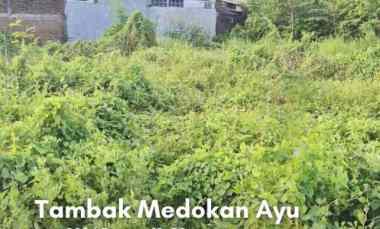 dijual tanah tanah tambak medokan ayu