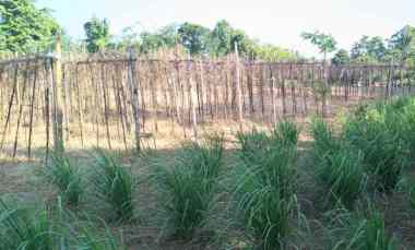 dijual tanah tangguntiti