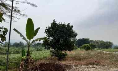 dijual tanah tangkil kec citereup