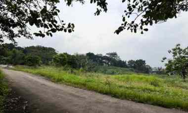 dijual tanah tangkil kec citereup