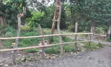 dijual tanah tanjung benoa