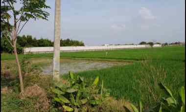 dijual tanah tanjung pura karawang barat