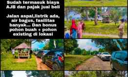 Tanah Murah Kavling Kebun Buah dan Legalitas Aman di Bogor Timur