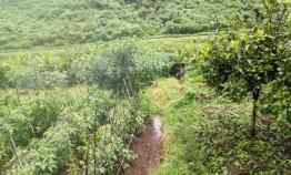 dijual tanah tawangargo kec karang