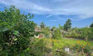 dijual tanah tebongkang ubud bali