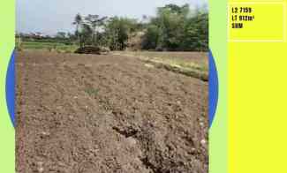 Tanah Luas dan Murah Potensial untuk Hunian Lokasi di Karangploso