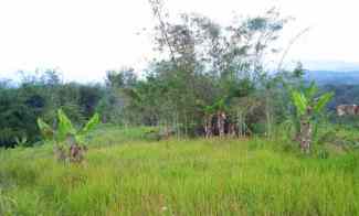 Lahan/Tanah Luas 1,4Ha Dijual Cepat di Tempuran, Magelang Jawa Tengah
