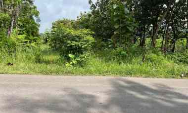 dijual tanah tepi jl raya kerjo