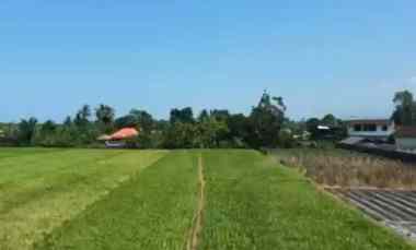 dijual tanah tibibiu pantai pasut
