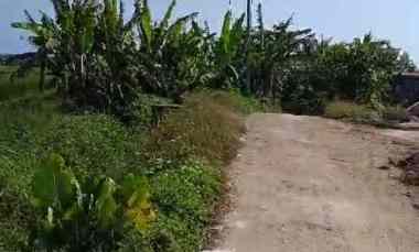 dijual tanah tibubiu