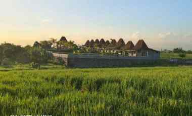 dijual tanah tibubiyu tabanan bali