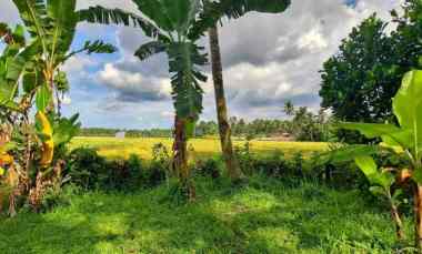 dijual tanah timpag kerambitan kab