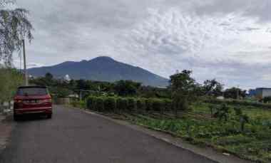 dijual tanah torongrejo