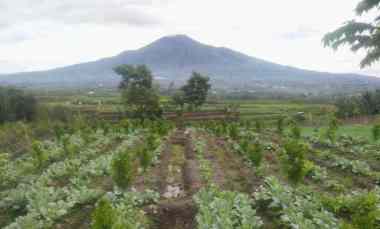 dijual tanah torongrejo junrejo batu