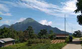 dijual tanah trawas kesiman