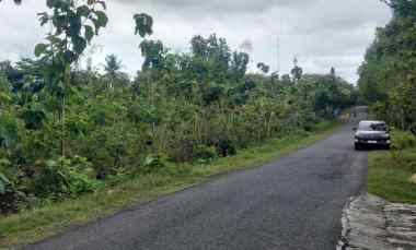 Tanah Dijual di Triwidadi Pajangan Bantul Yogyakarta