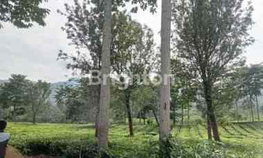 Dijual Tanah hanya 1 km ke Puncak Raya, Bogor, Posisi Tanah Best View