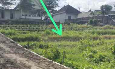 dijual tanah tumbak bayuh