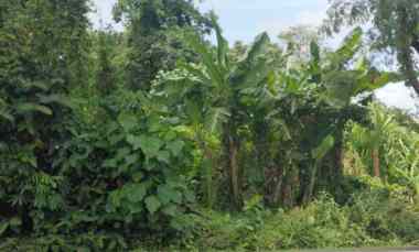 Dijual 15 are, jl. Raya Tumbak Bayuh Pererenan Mengwi Badung