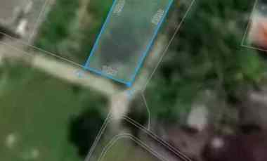 dijual tanah tumbak bayuh badung bali