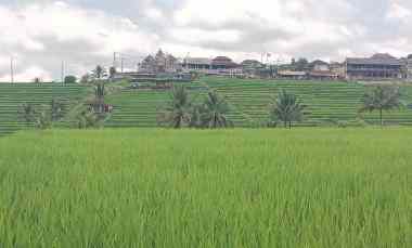 dijual tanah ungasan badung bali