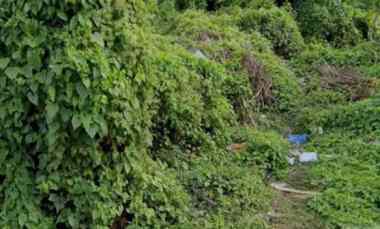 dijual tanah utara citra land