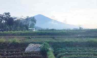 dijual tanah view gunung akses jl mobil