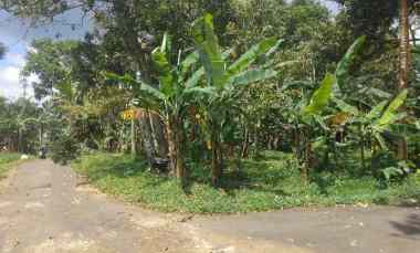 dijual tanah view gunung dan sawah
