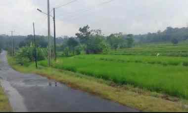 Dijual Tanah View Gunung Pinggir jl Desa di Kec.beber