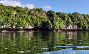 dijual tanah wakatobi sulawesi tenggara