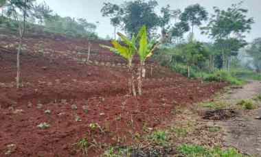 dijual tanah wargamekar