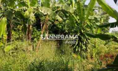 dijual tanah waru jaya bogor