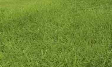 dijual tanah waterfront