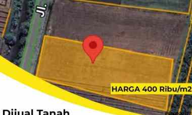 Dijual Tanah Watudakon, Kesamben, Jombang Lokasi Strategis 0 Jalan