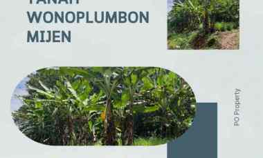 dijual tanah wonoplumbon