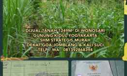 Dijual Tanah 1249m di Wonosari Gunung Kidul Yogyakarta Shm Strategis