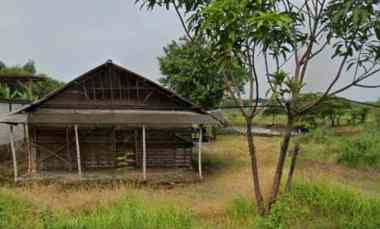 dijual tanah wringinanom gresik