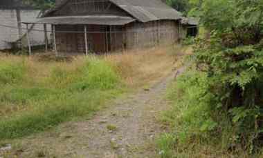 dijual tanah wringinanom gresik